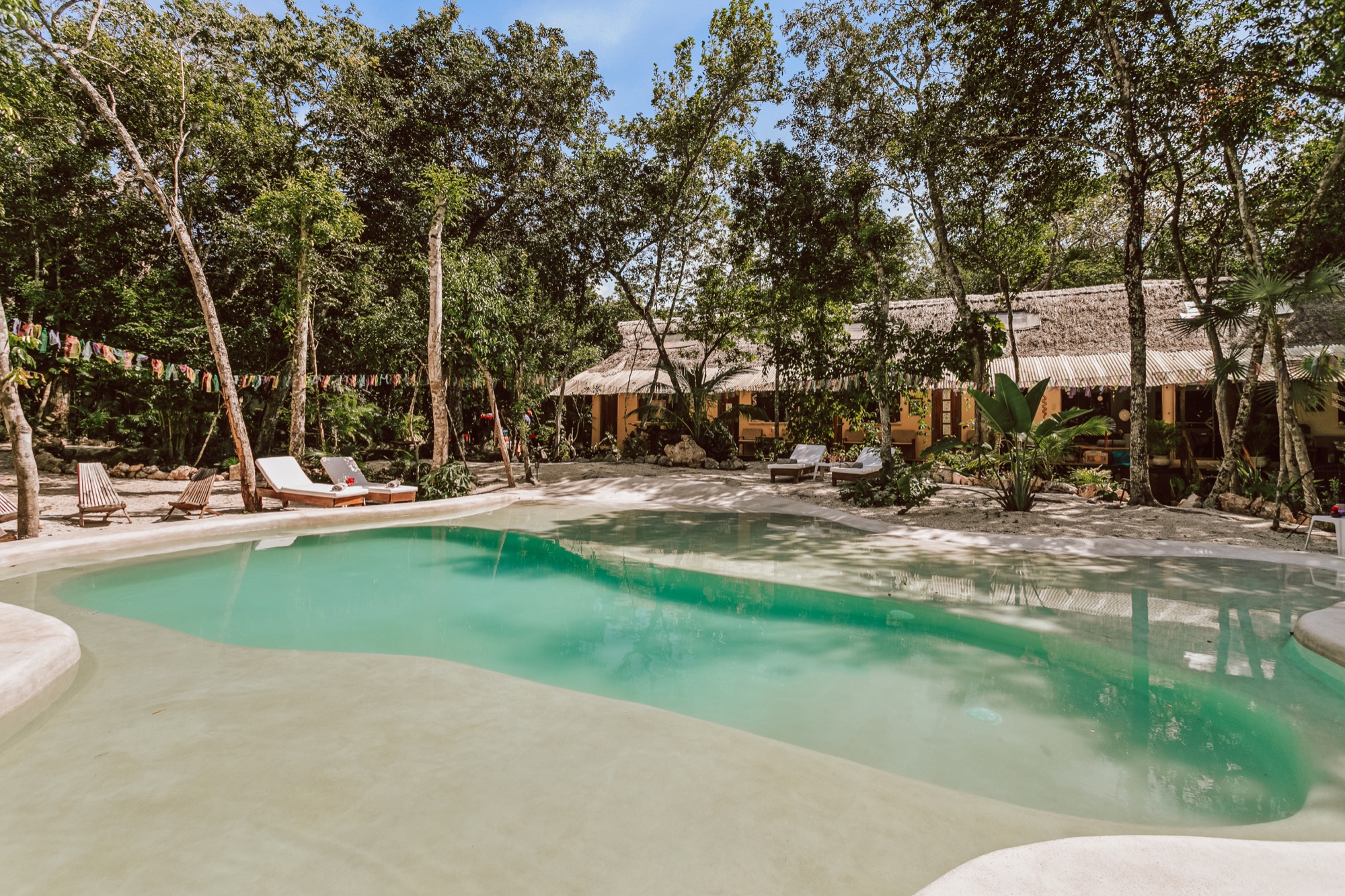 The pool at Casa Arkaana surrounded by jungle