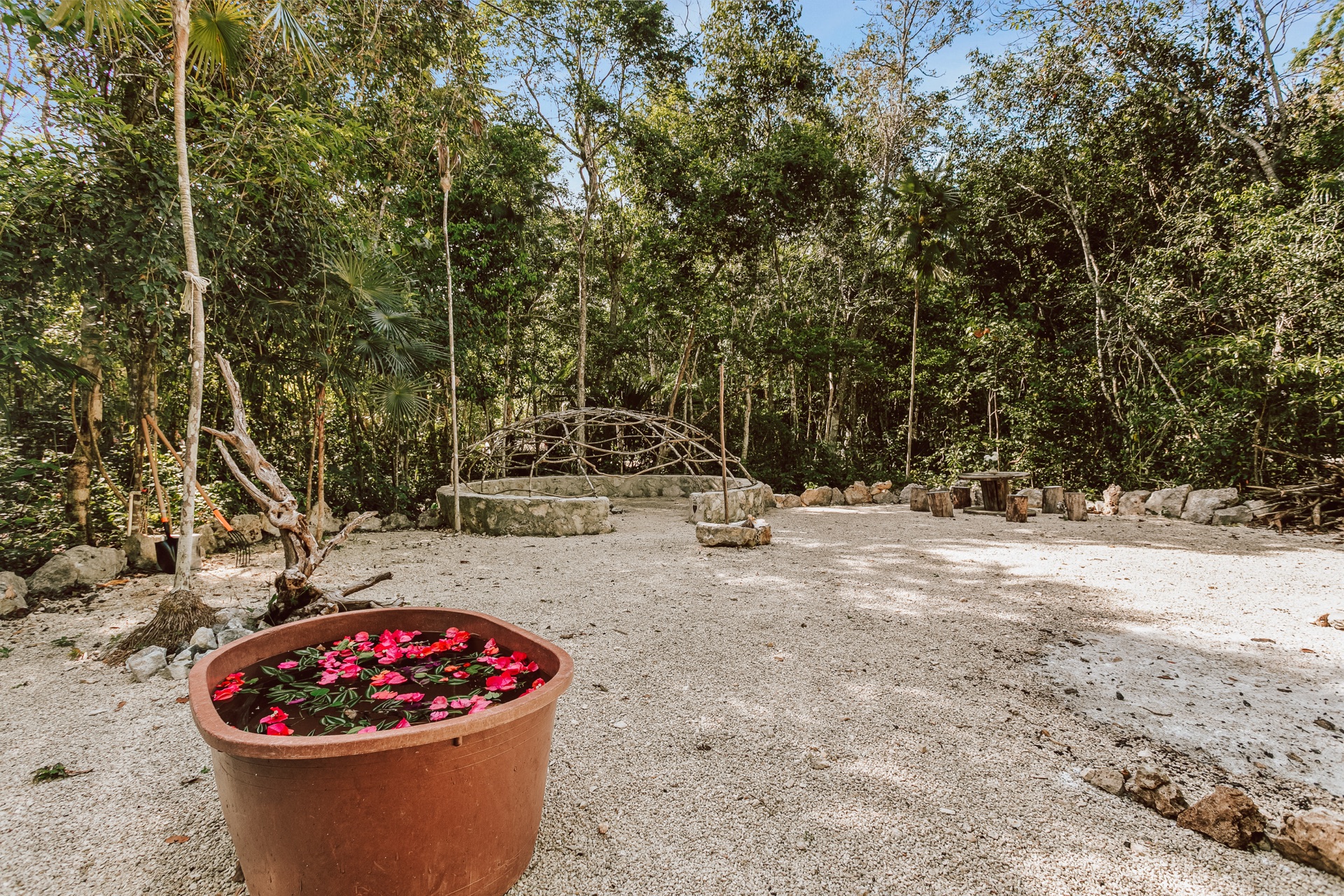 Plant ceremony