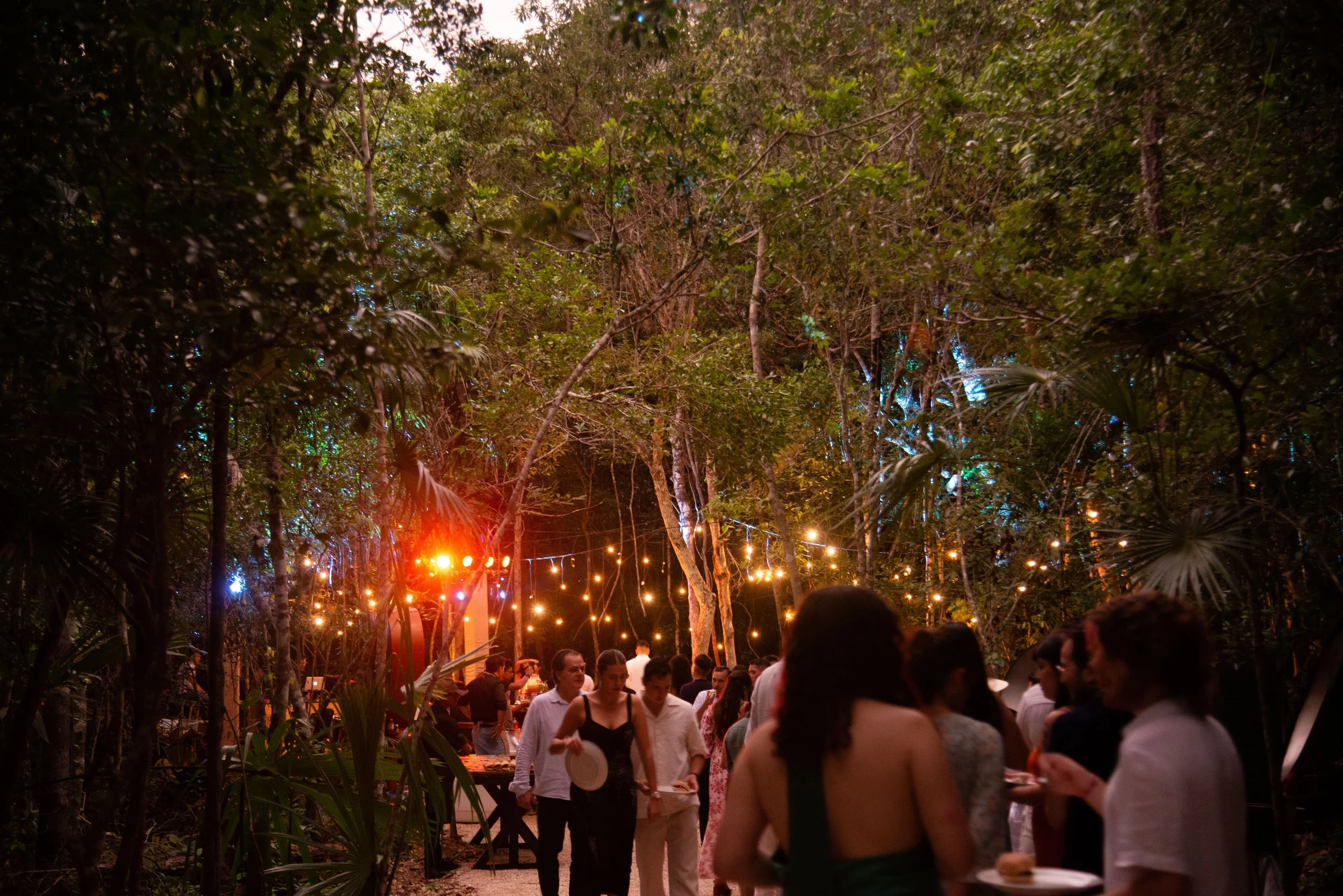 Evening celebration in the jungle